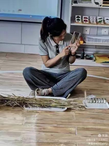 一粒种子的奇妙旅程 美丽华国际幼稚园KB1班“小麦的一生”探索记