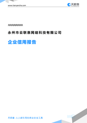 永州市云联惠网络科技(企业信用报告)- 天眼查