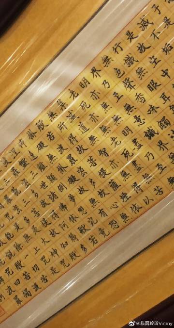 猫囡玲玲vimny的微博